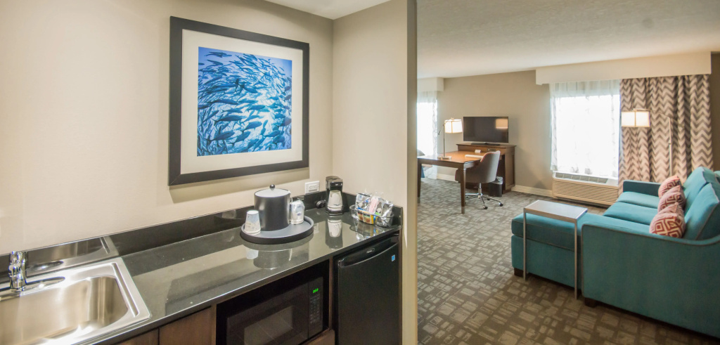 Hampton Inn & Suites Orlando At SeaWorld, photo 4