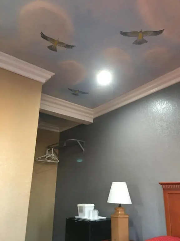 Budget Inn, photo 3