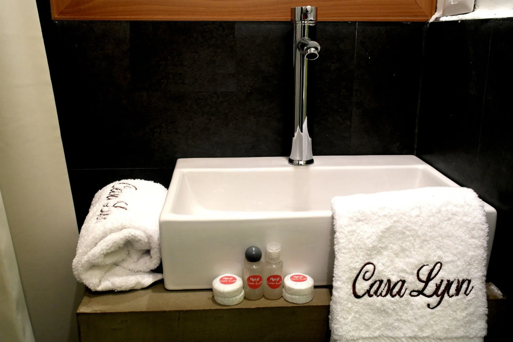 Hotel Casa Lyon — photo 7