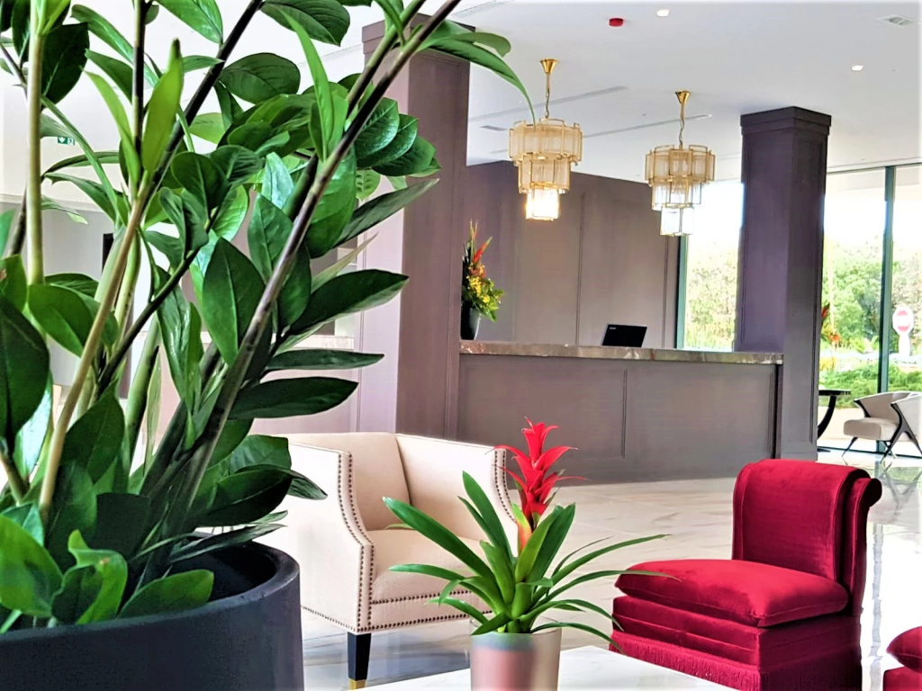 Royal Palm Hotel, photo 2