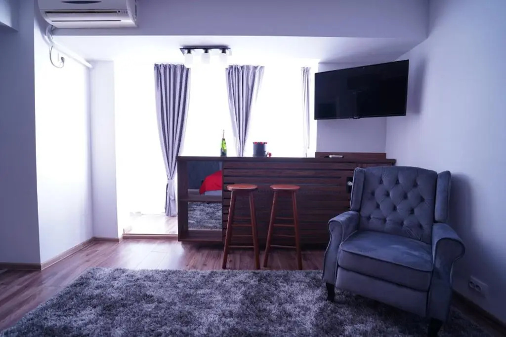 Luxury 1BR studio near Hanul Drumetului Bucharest, photo 4