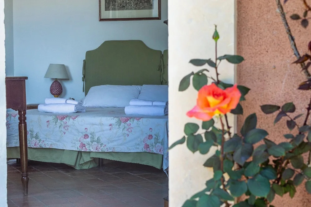 Tenuta San Calogero, photo 5
