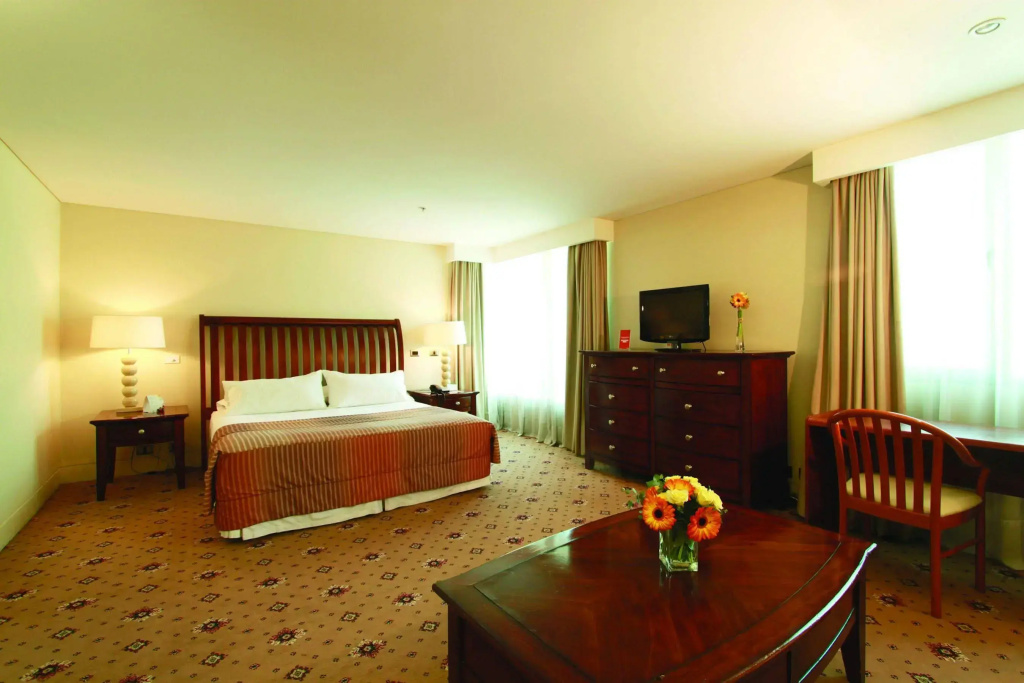 Hotel Torremayor Lyon, photo 3