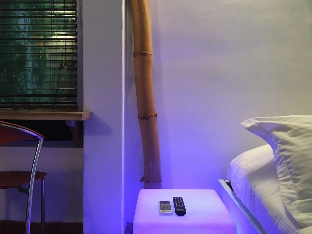 Lez Lezards Bed & Breakfast, photo 5