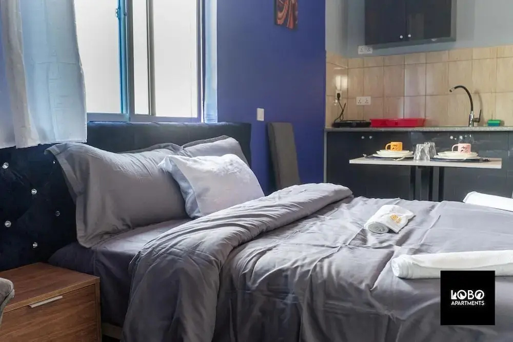 Lobo studio apartments — photo 3