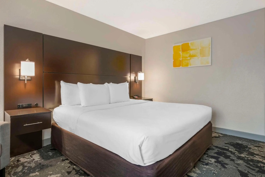 City Express by Marriott Orlando International Drive — photo 6