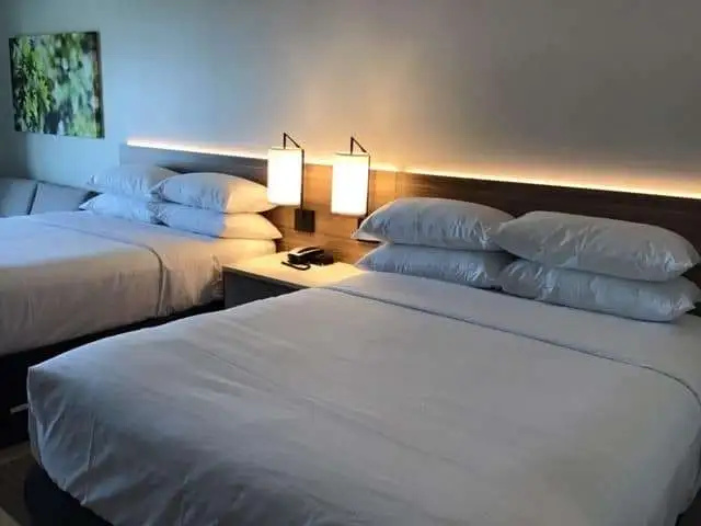 Wyndham Garden Orlando Universal / I Drive, photo 3