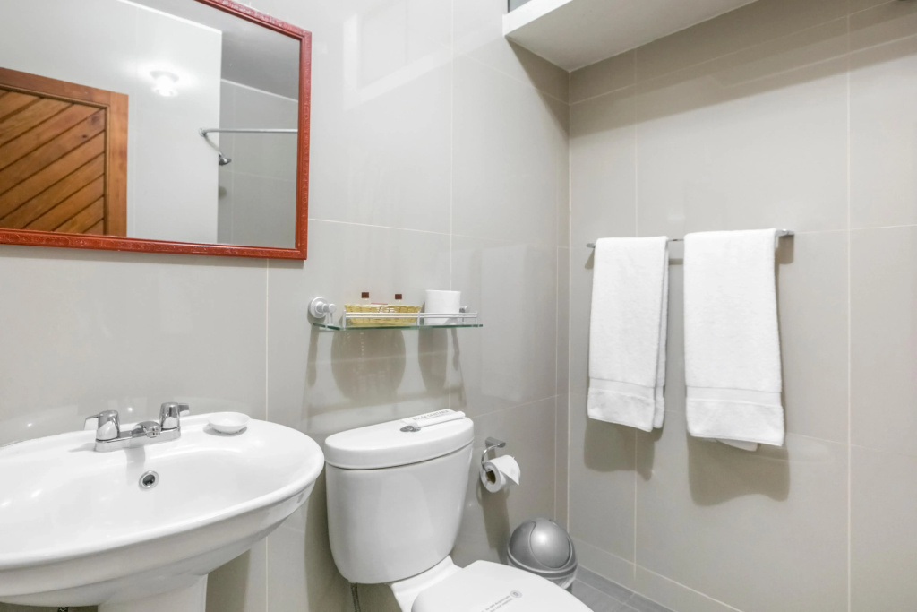 Hotel Las Palmas — photo 8