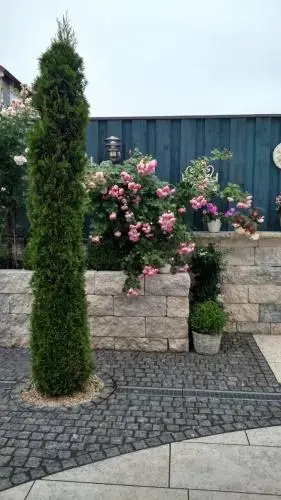 Pension Mair — photo 6
