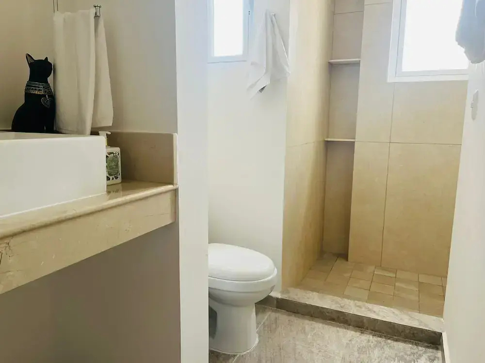 La Diosa Condos penthouse w plunge pool — photo 6