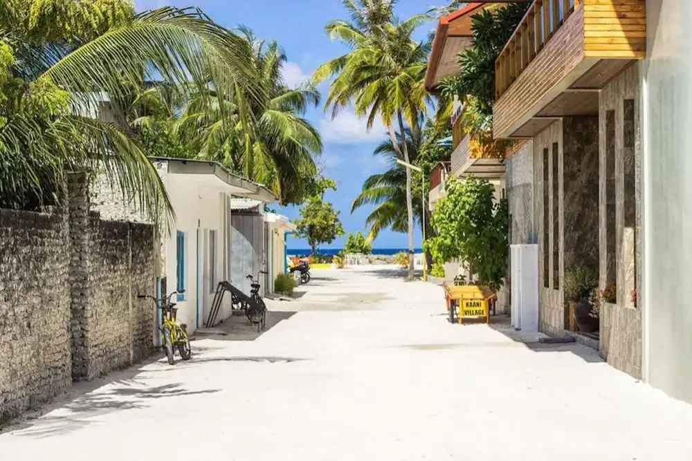 Coconut Tree Hulhuvilla Beach