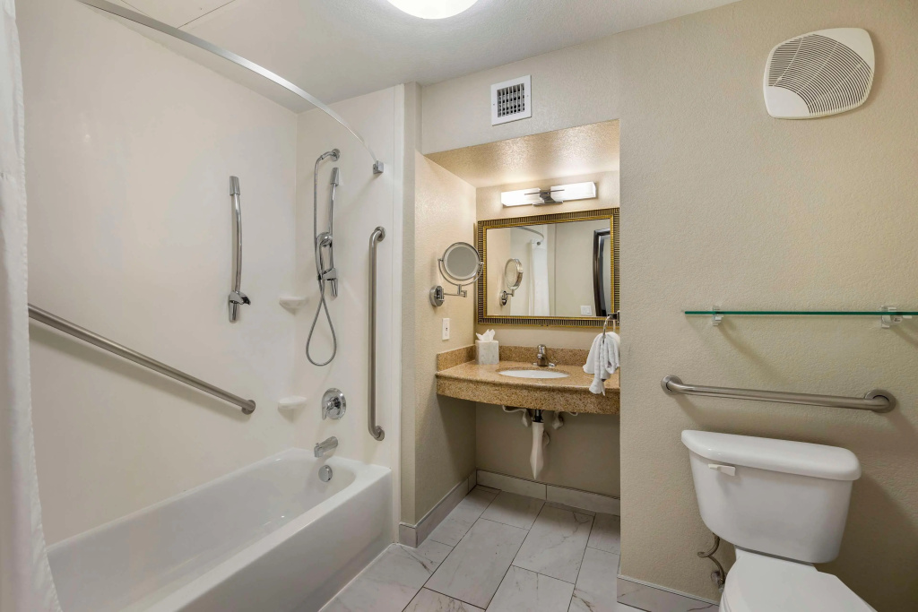Best Western Plus Henderson Hotel — photo 8