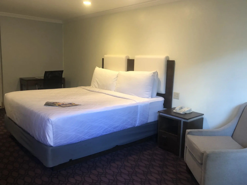 Hotel Pacific Manhattan Beach — photo 5