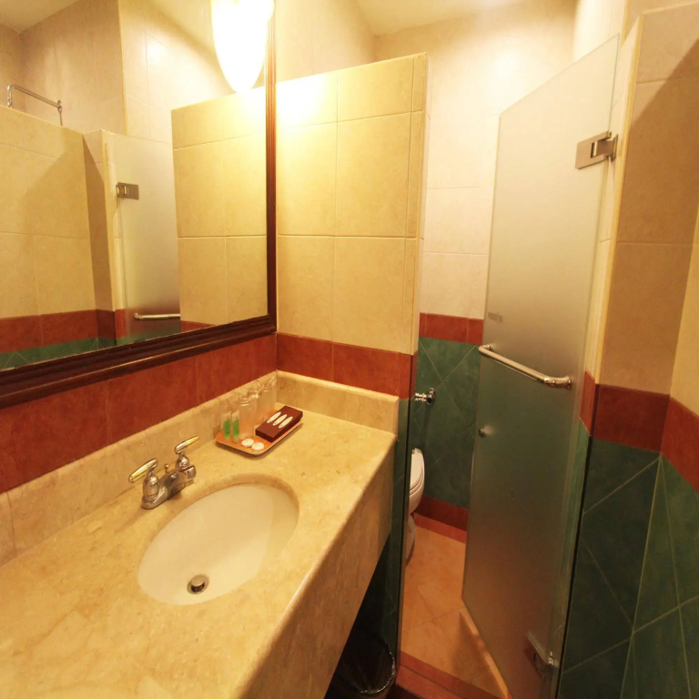 Sarrosa International Hotel and Residential Suites — photo 8