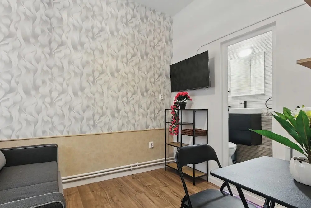 Petru Maior Apartments, photo 4