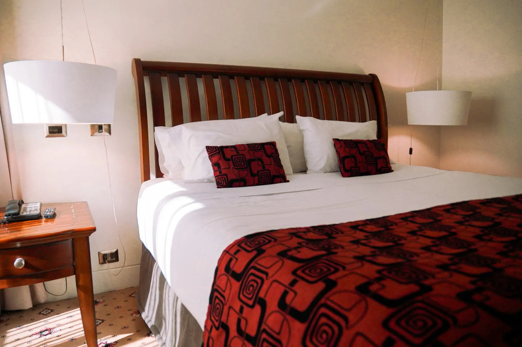 Hotel Torremayor Lyon — photo 6