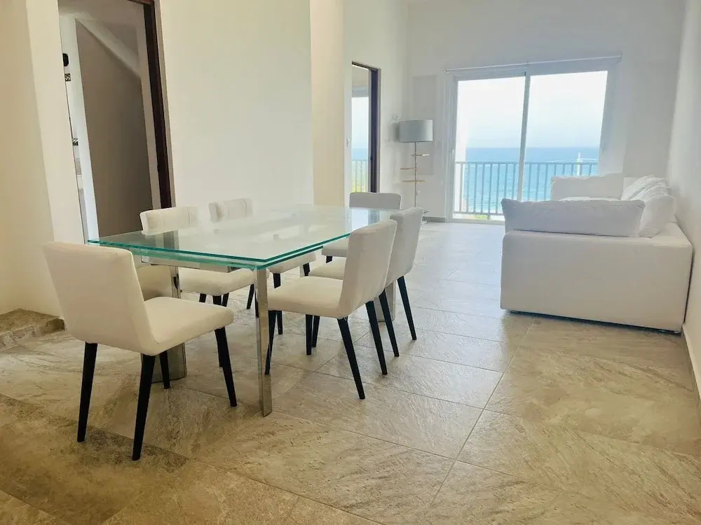 La Diosa Condos penthouse w plunge pool, photo 4