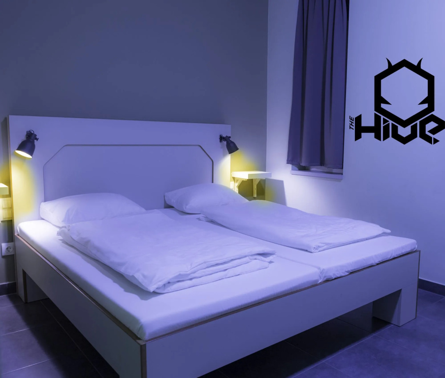 The Hive Party Hostel, photo 2