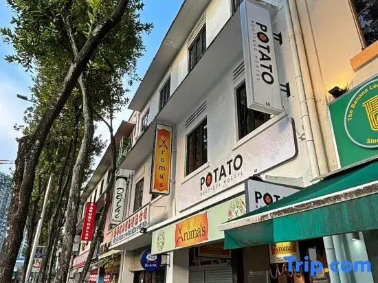 Potato Boutique Hostel — photo 2