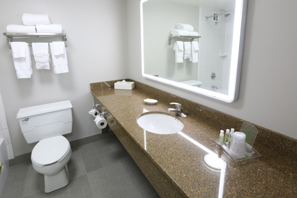 Holiday Inn Chicago O'Hare Area by IHG — photo 8