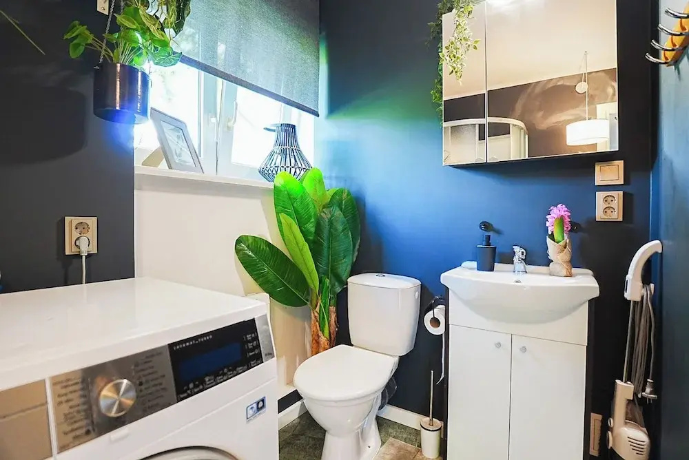 Cofy Rentals Tallinn — photo 8