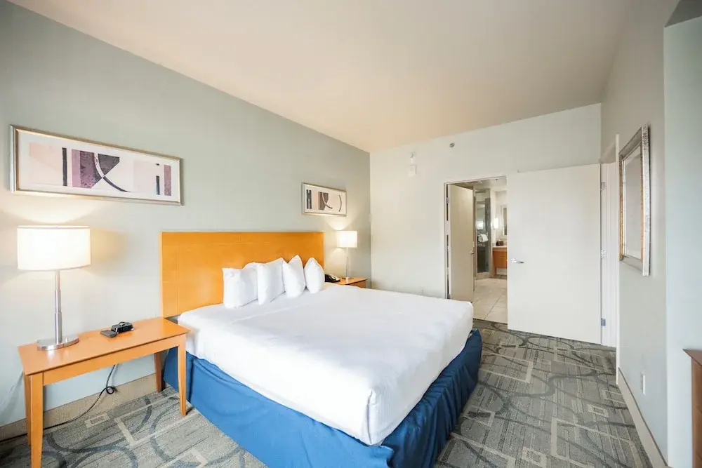 StripViewSuites at Platinum, photo 4