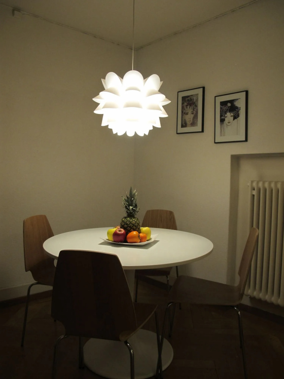 Zurich Furnished Apartments — photo 7