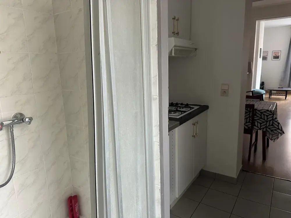 Charming Uccle Apartment With City Views — photo 6