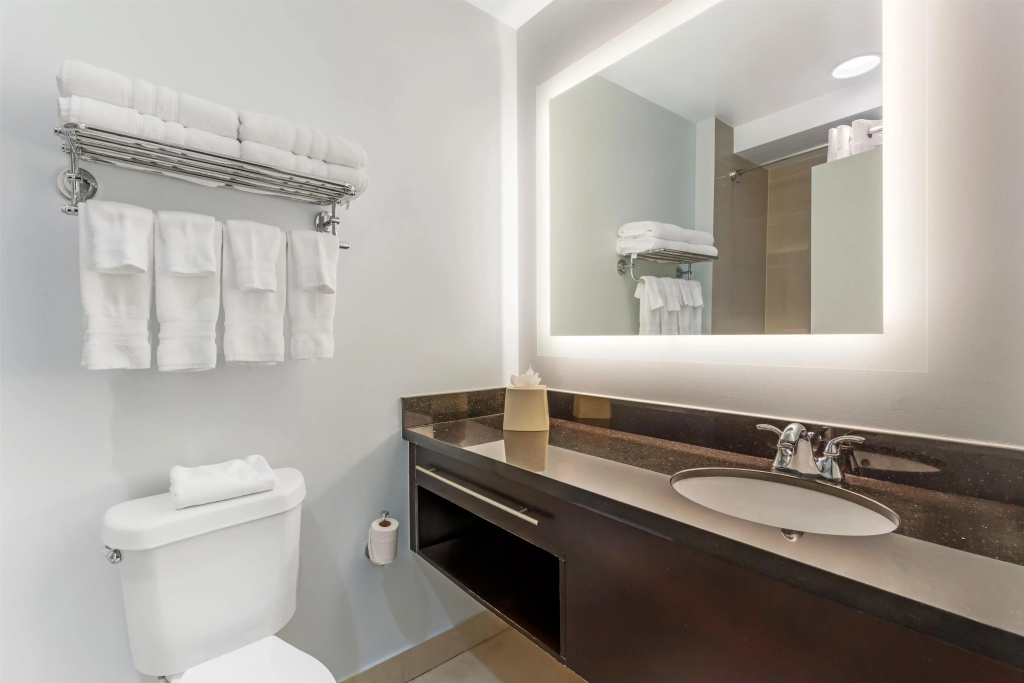 Best Western Plus Miami Airport North Hotel & Suites — photo 8