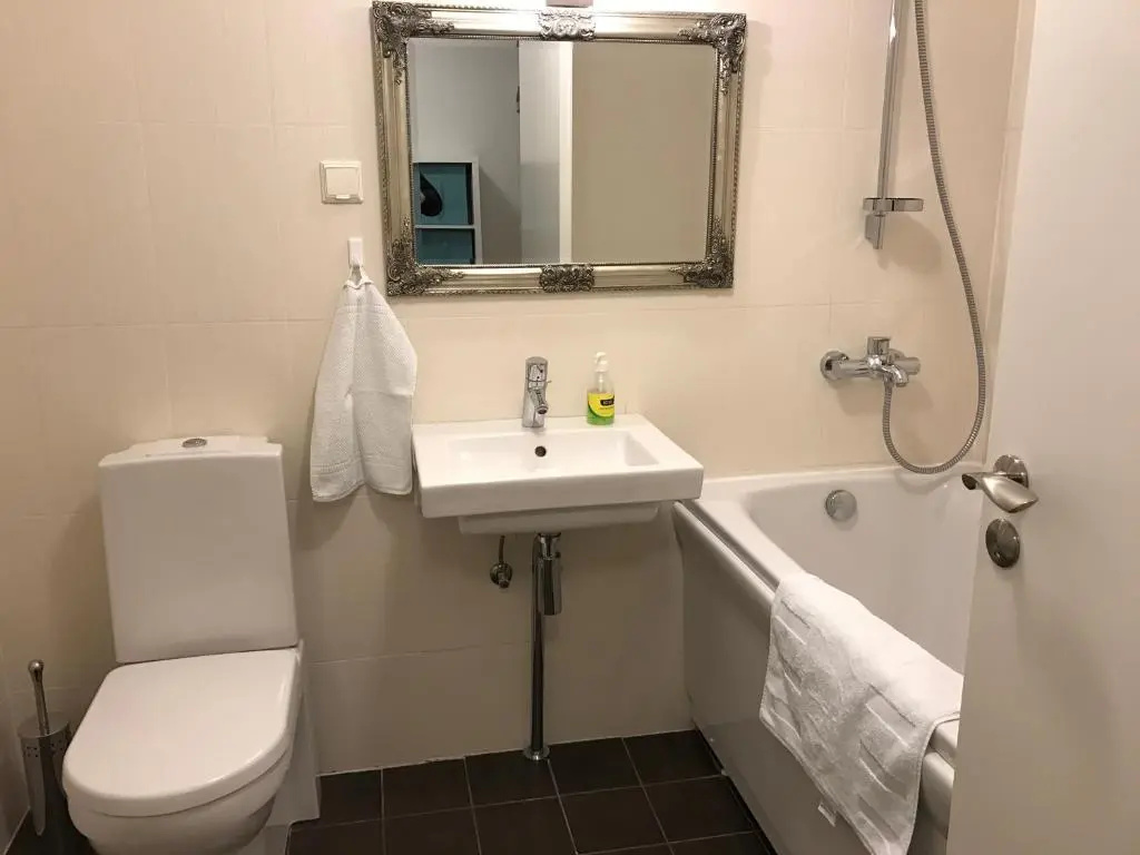 Roseni City Apartment — photo 7