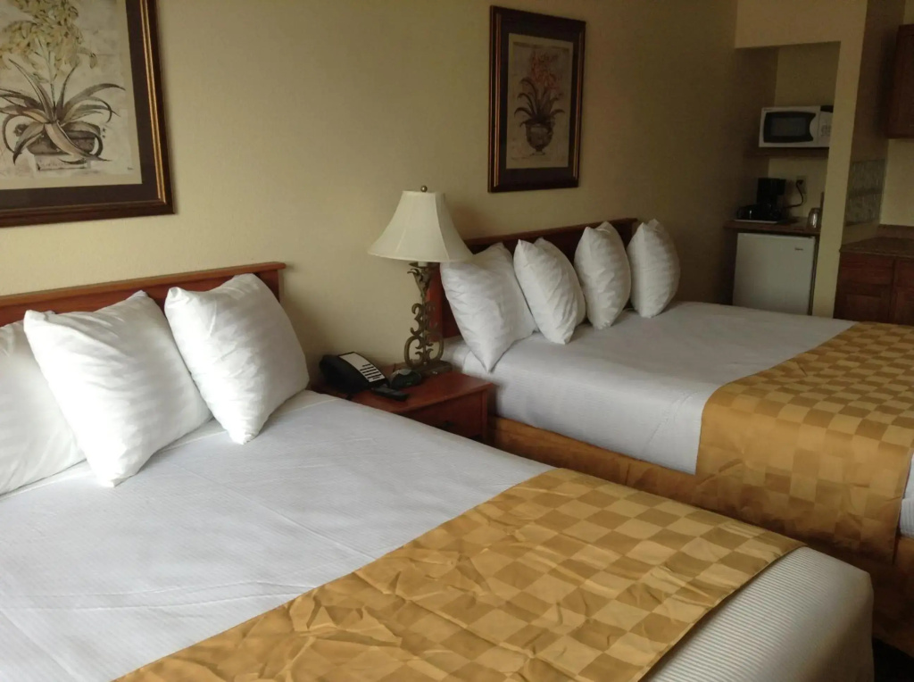 Best Inn & Suites, photo 3
